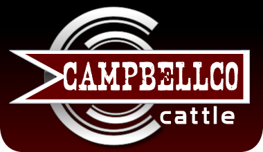 CampbellCoCattle Logo