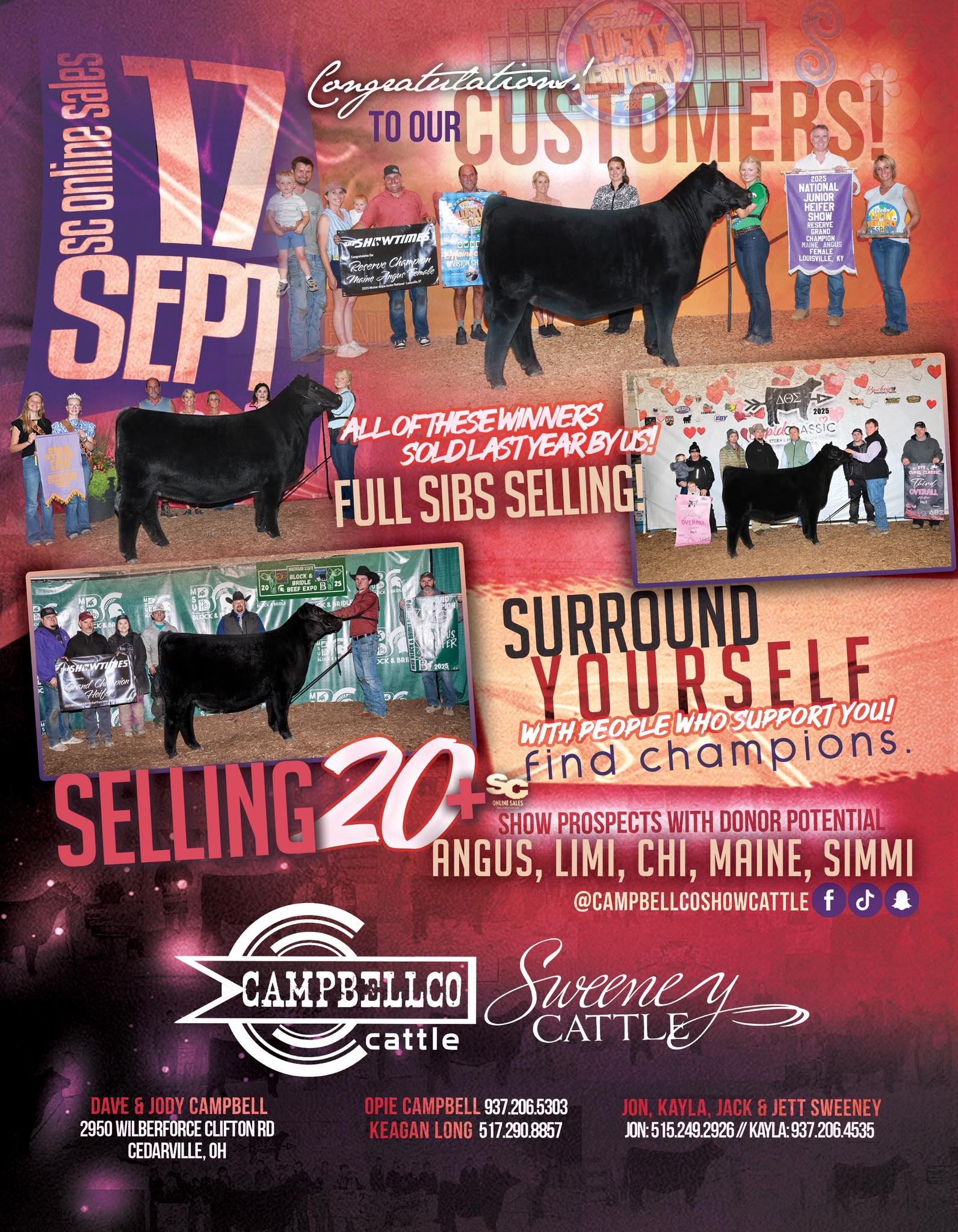 Club Calf Sale